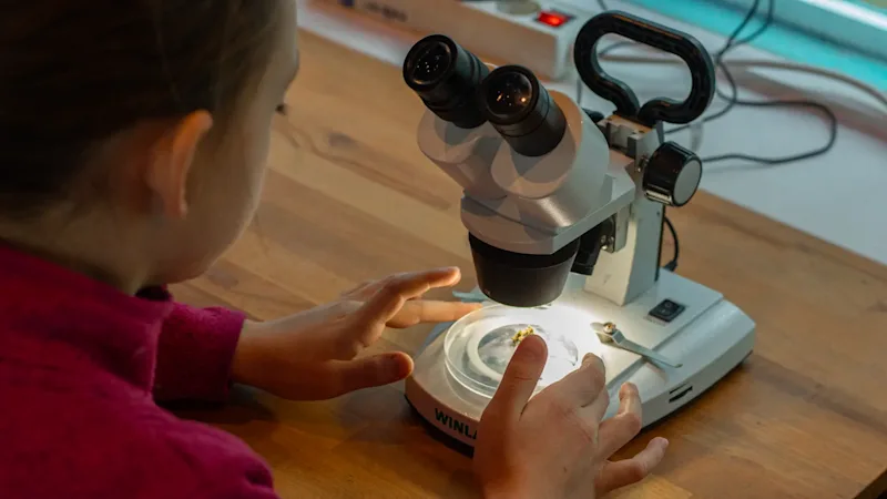 PrimaKlimaCamp Halle Mikroskop