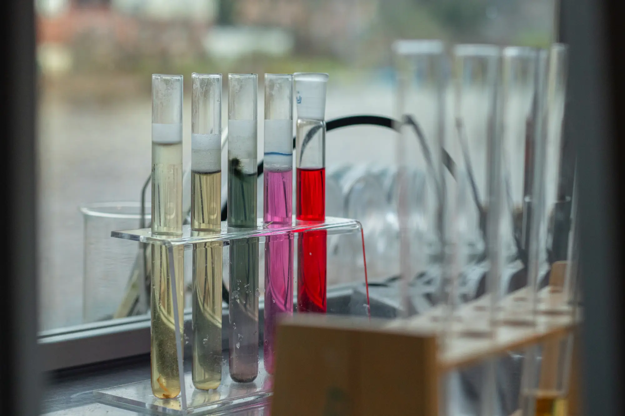 PrimaKlimaCamp Halle Reagenzgläser
