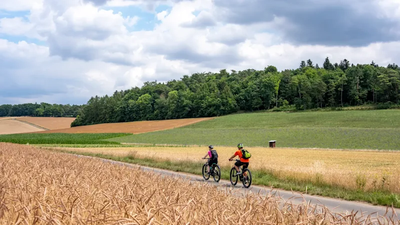 Projekt Naturparks Baden-Württemberg